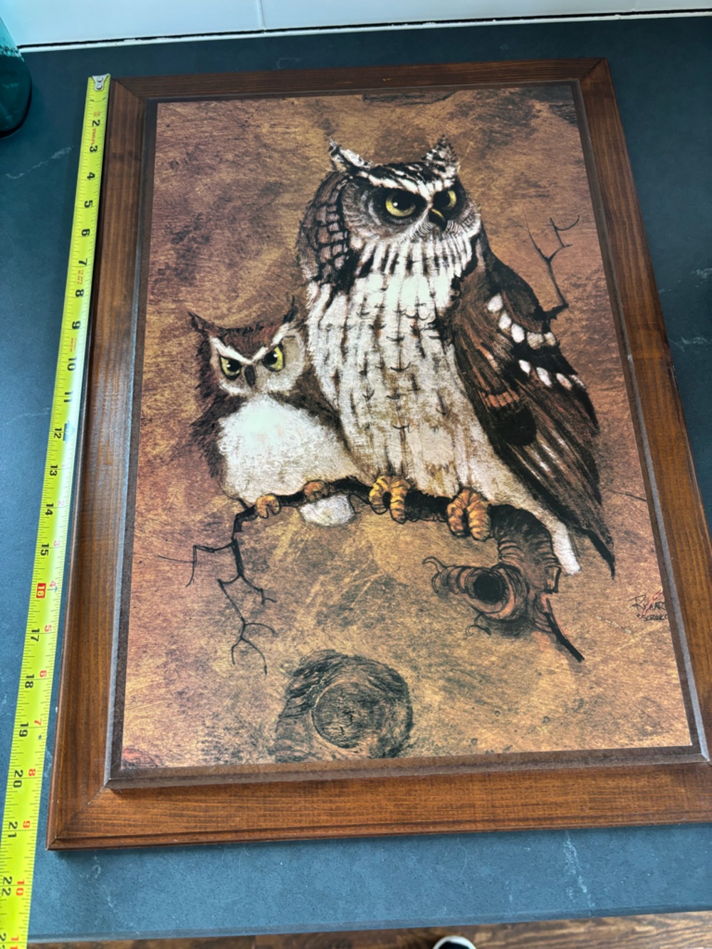 Rustic Brown Owl Wall Art Print - Home Wall Decor